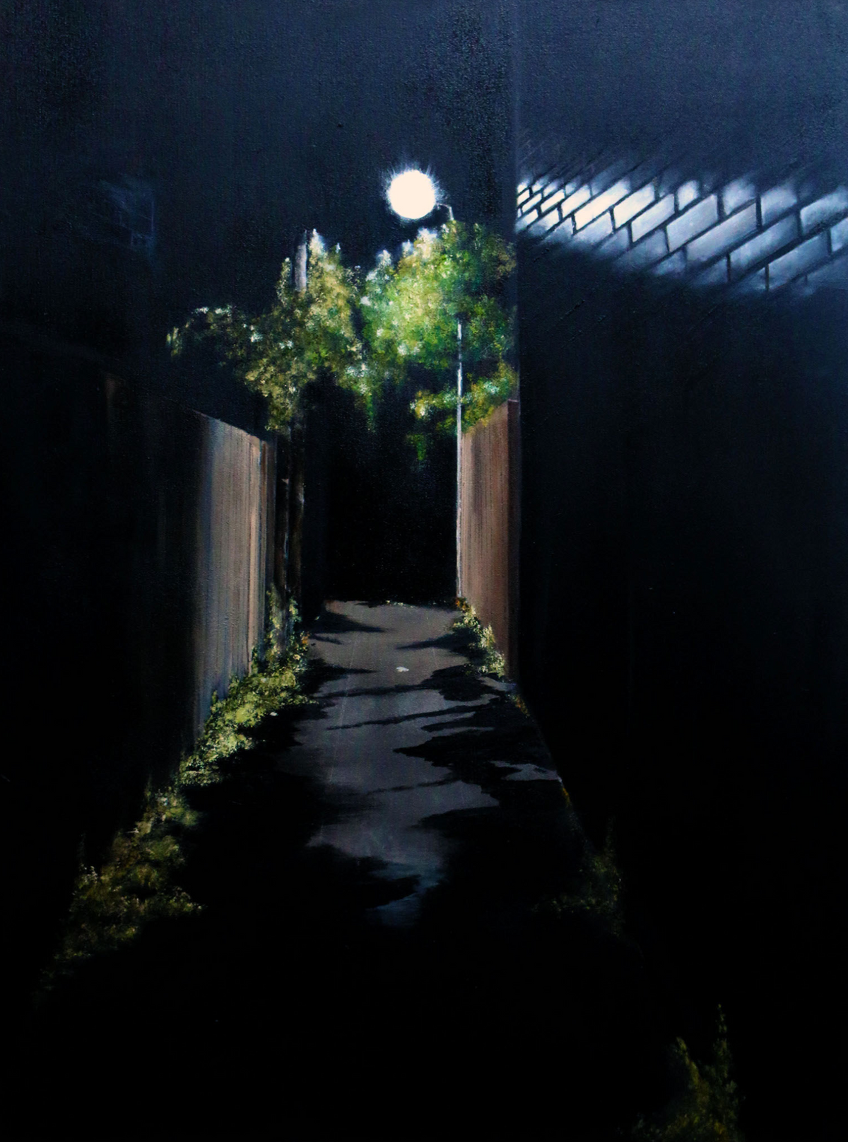 Bondi Alley 2