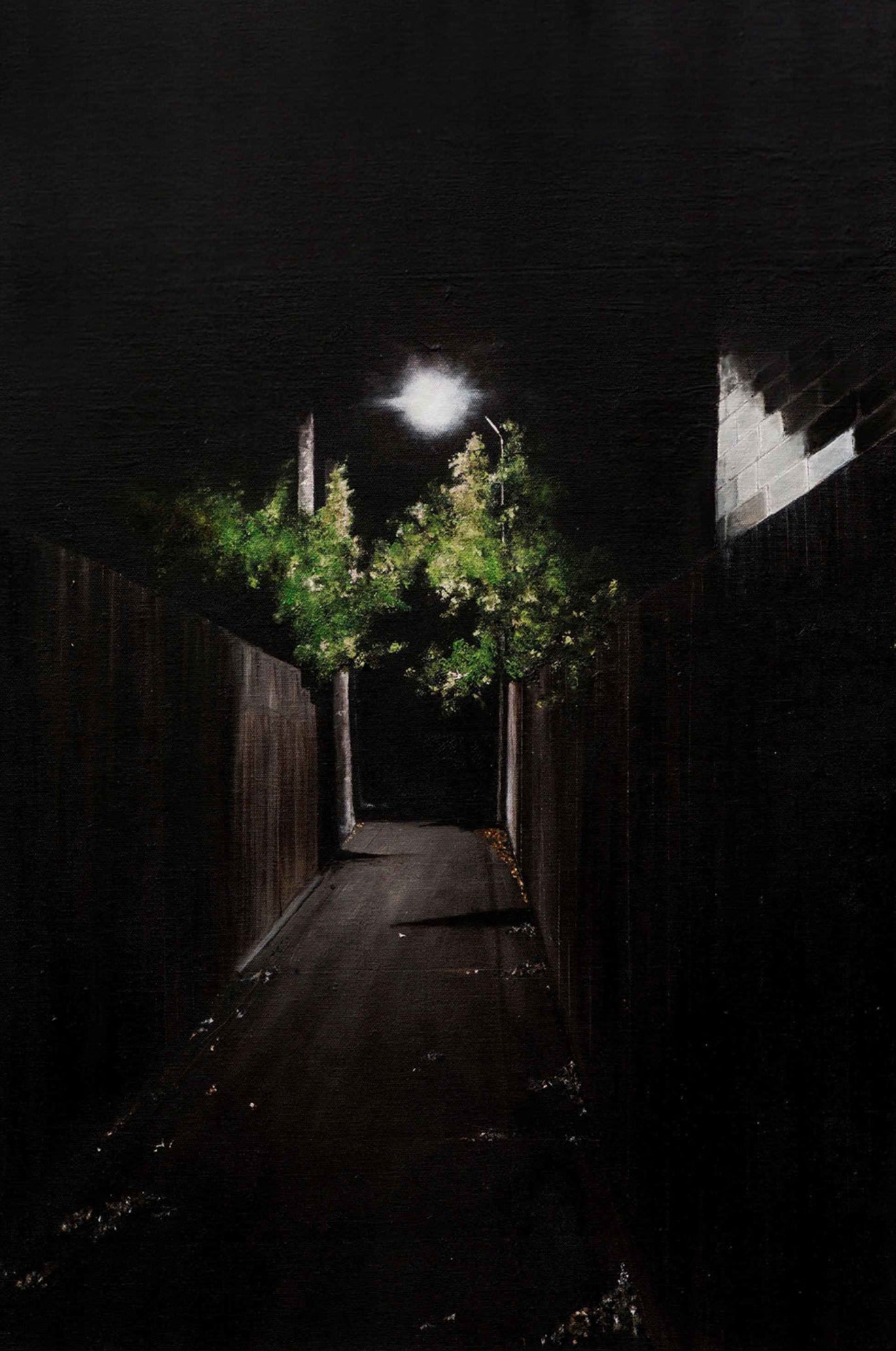 Bondi alley