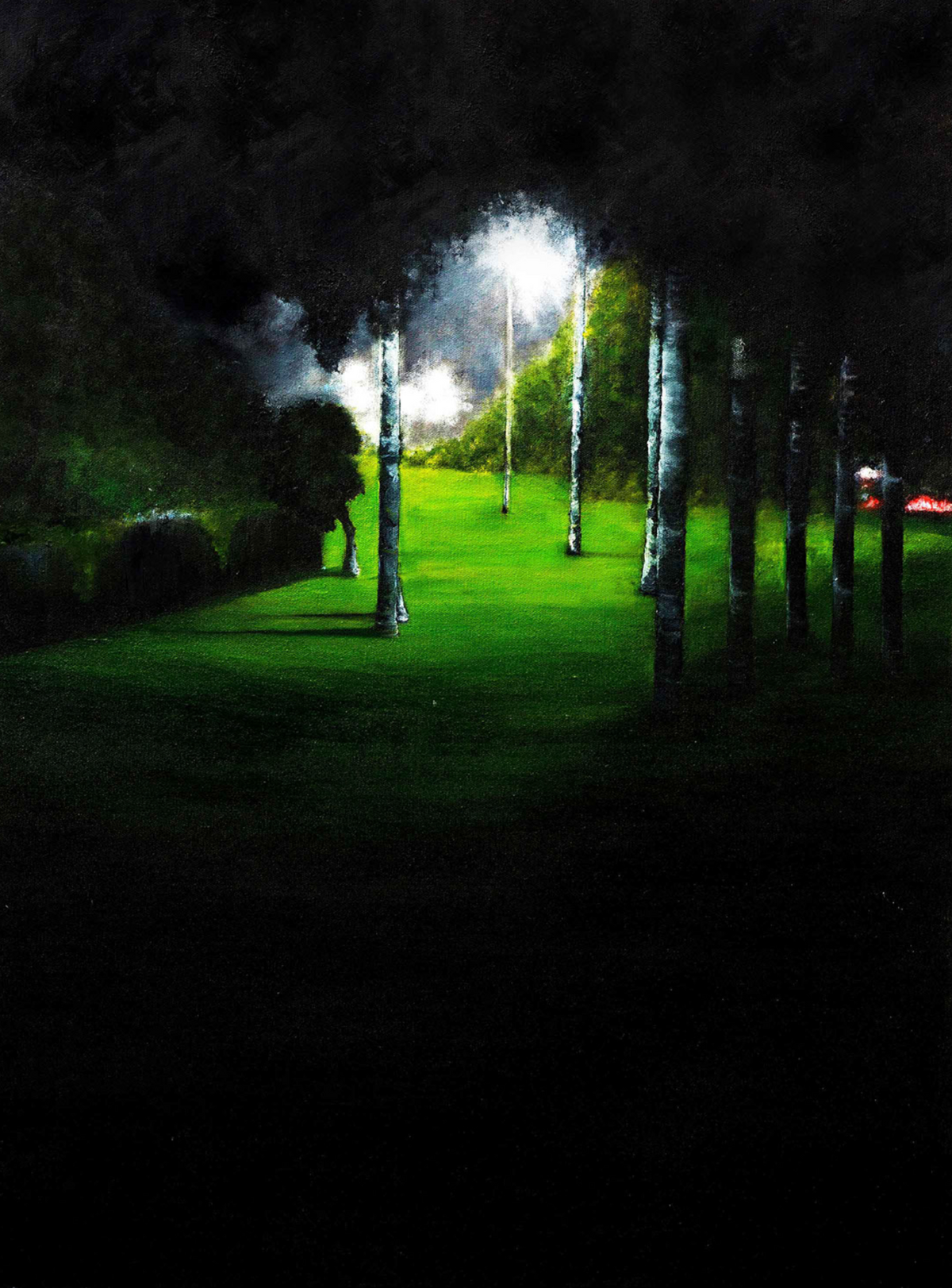 Park Night