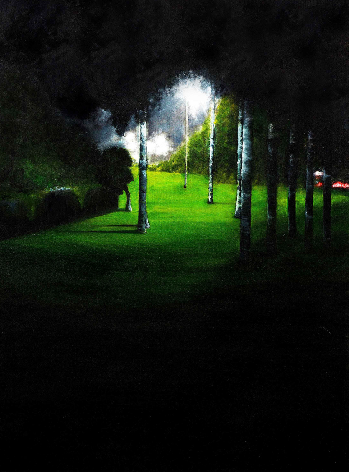 Park Night